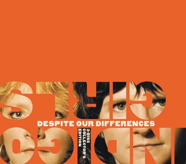 Despite Our Differences album cover