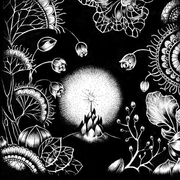 Miracle - Single album cover