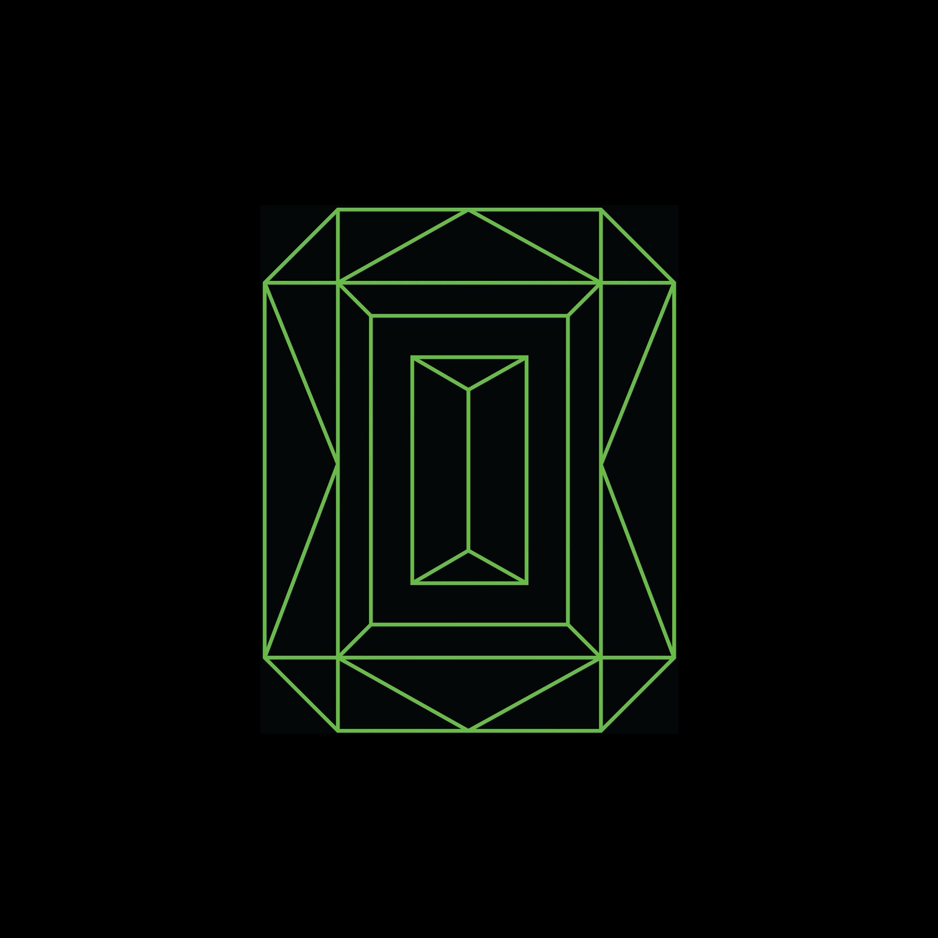 Vide Noir album cover