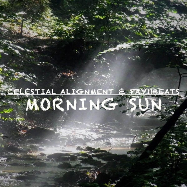 Morning Sun - Single album cover