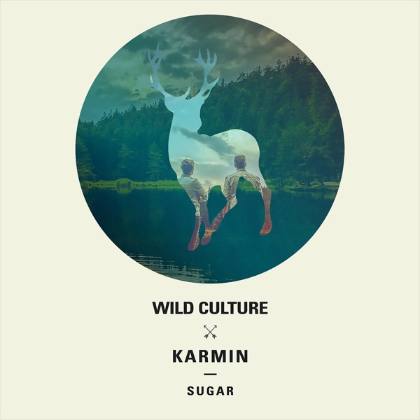 Sugar - EP album cover