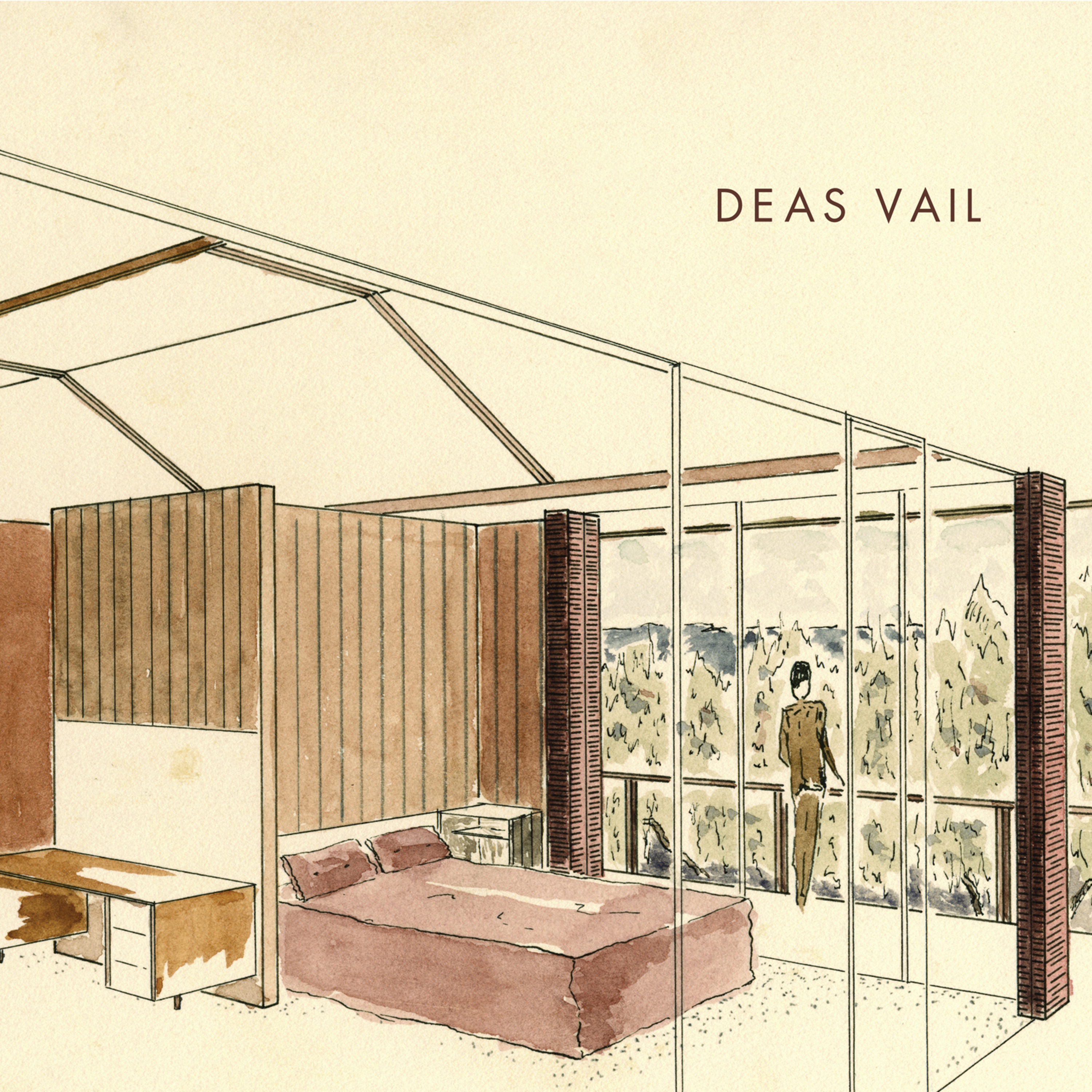 Deas Vail album cover