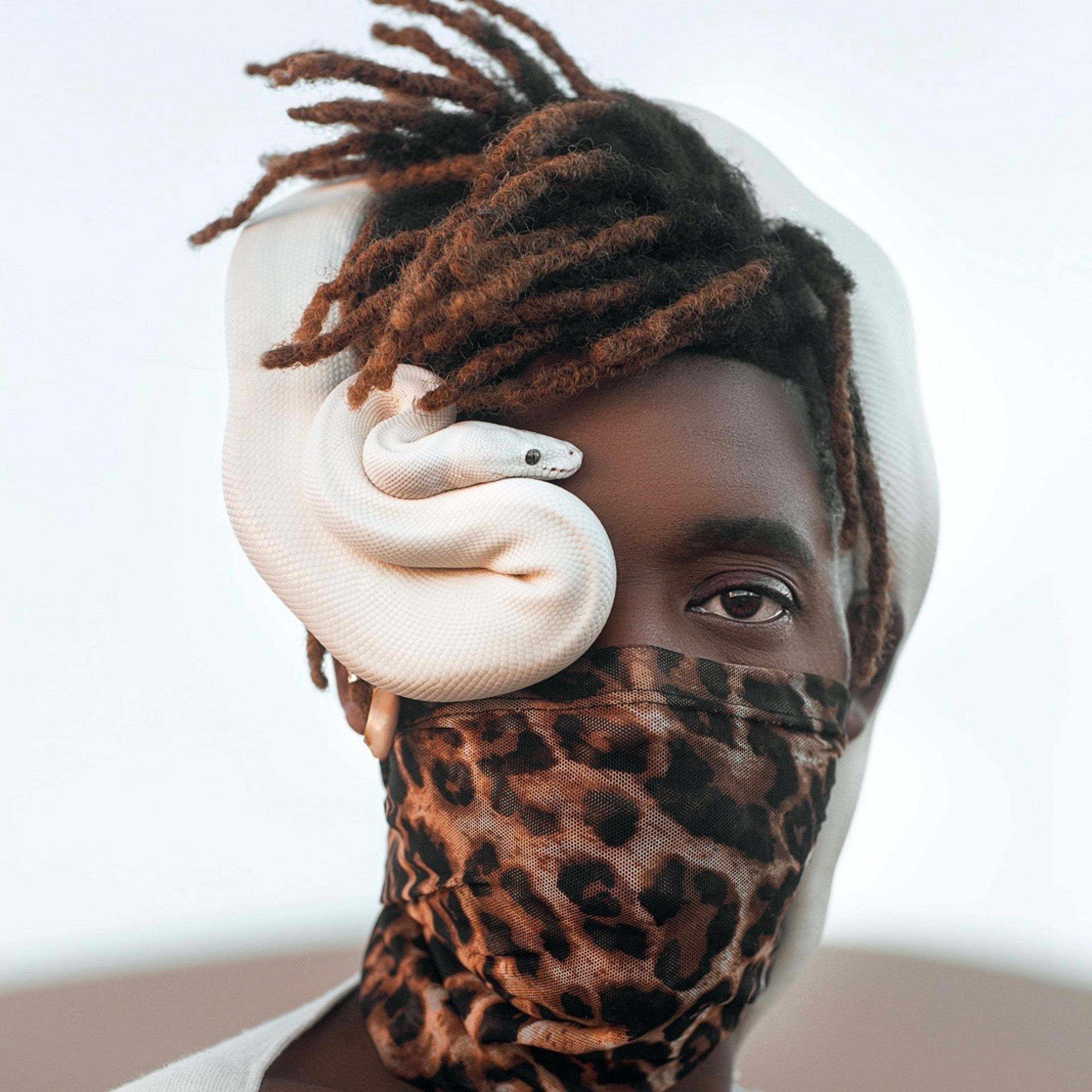 Psy Language - EP album cover