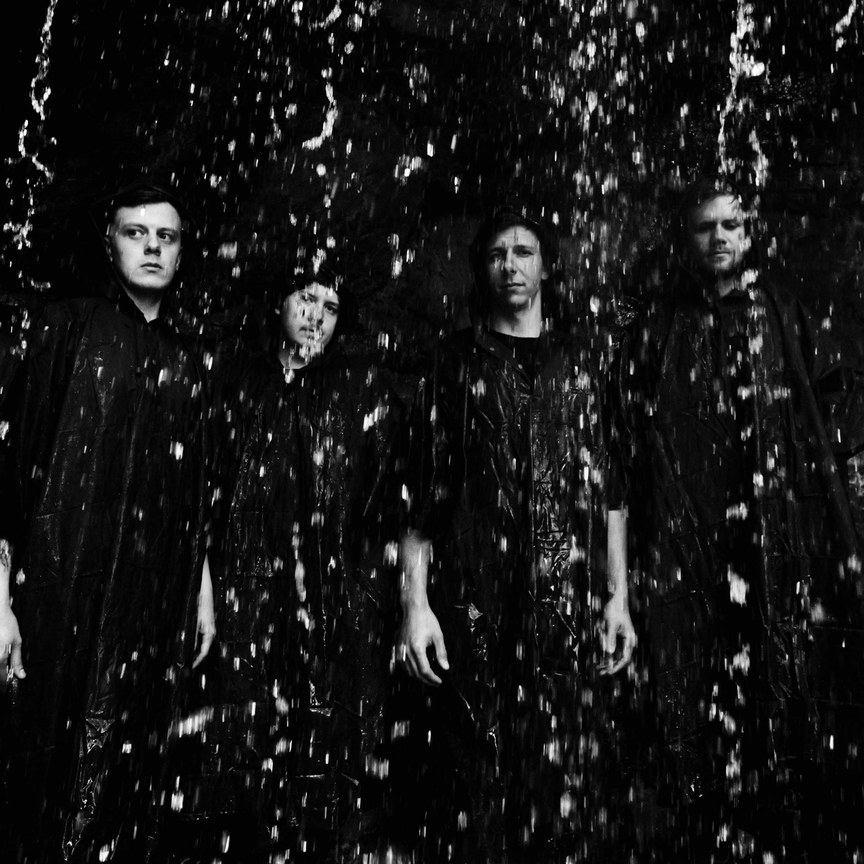 Show Me A Dinosaur Portrait