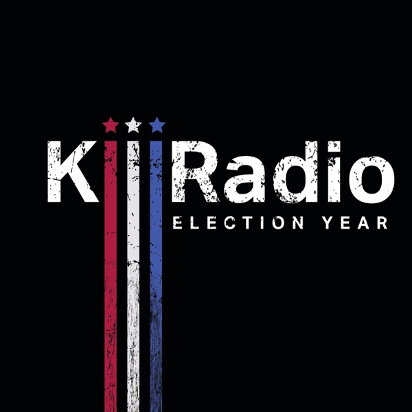 Election Year album cover