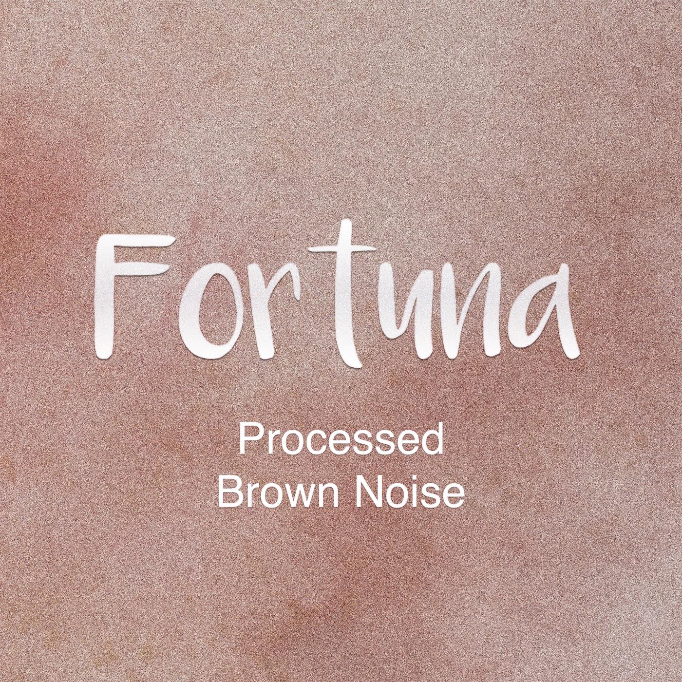 Processed Brown Noise album cover