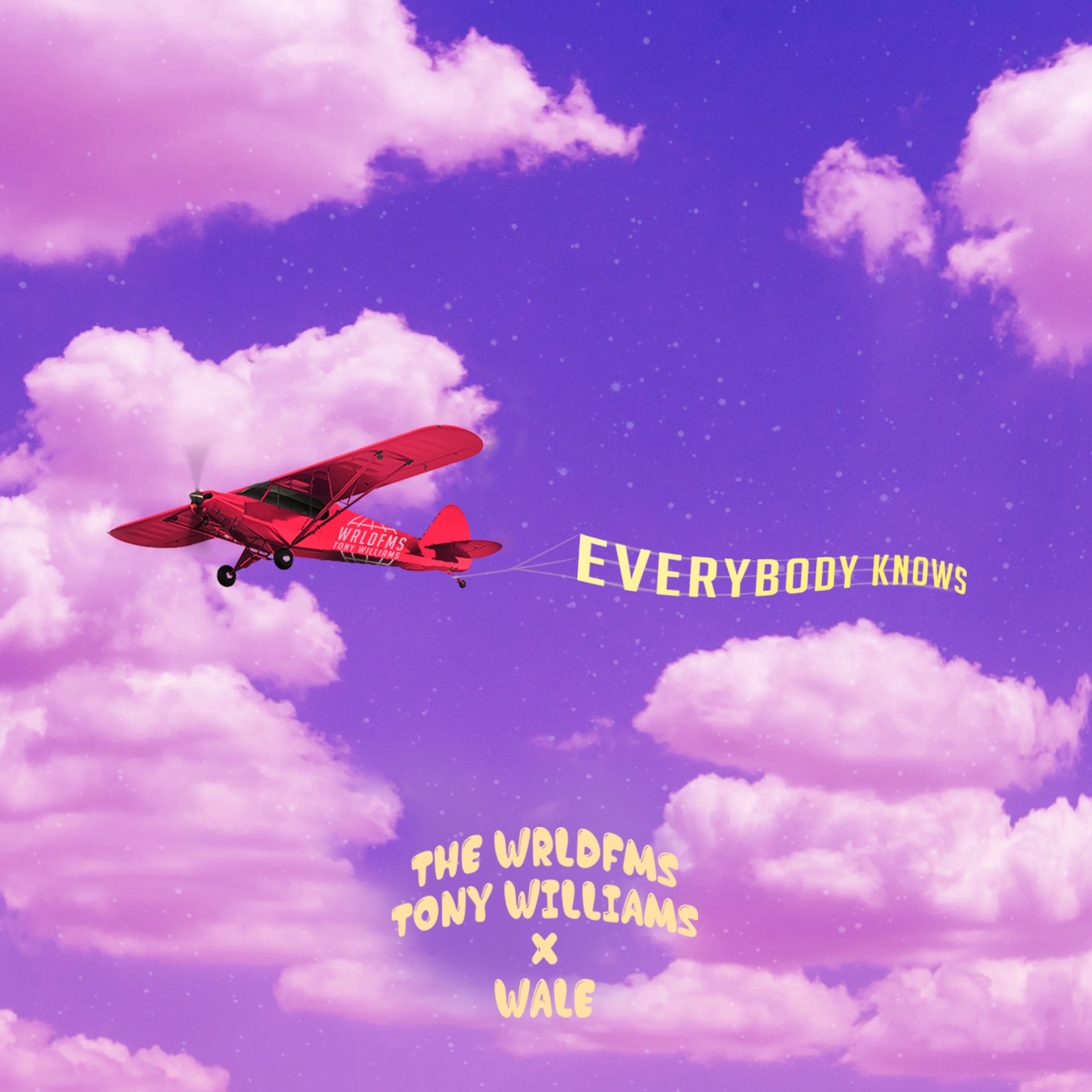 Everybody Knows - Single album cover
