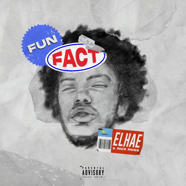Fun Fact - Single album cover