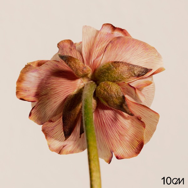 4.3 - EP album cover