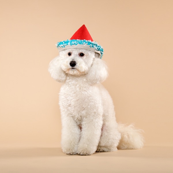 Mookies Last Christmas (Acoustic 2020) - Single album cover