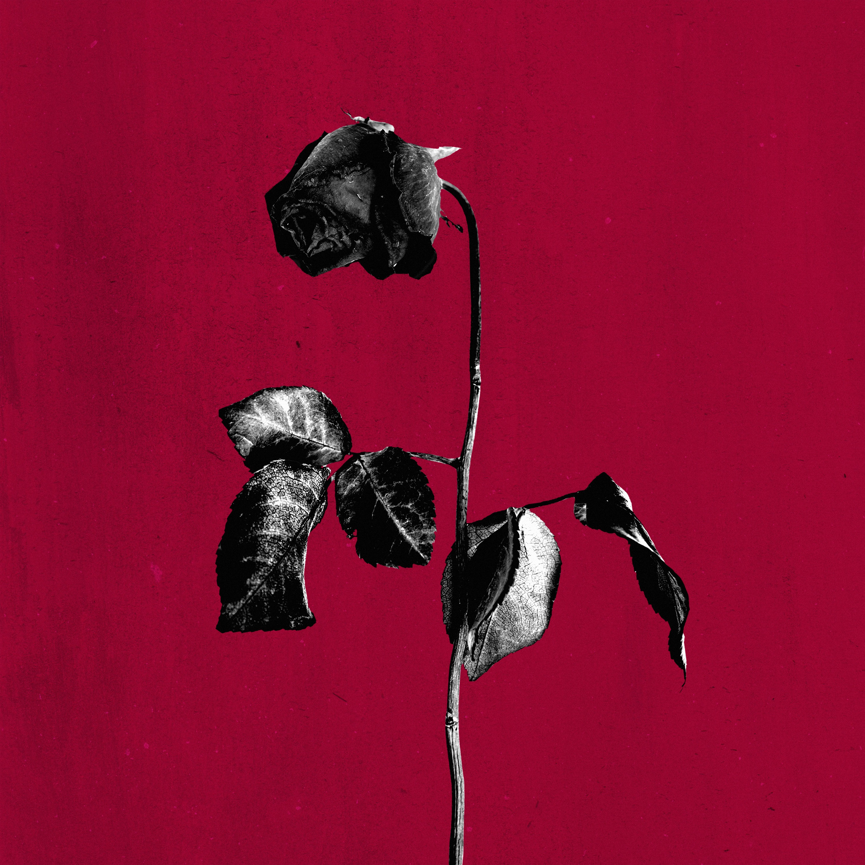 dirty laundry (slowed) - Single album cover
