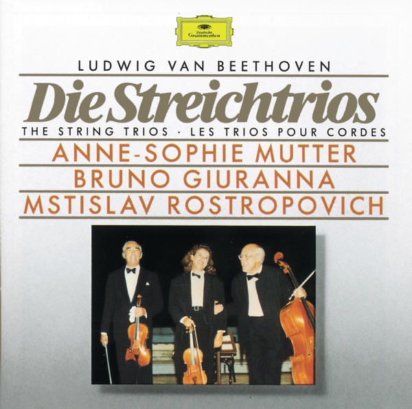 Beethoven: The String Trios album cover