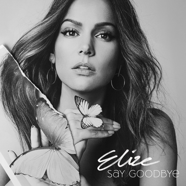 Say Goodbye - Single album cover