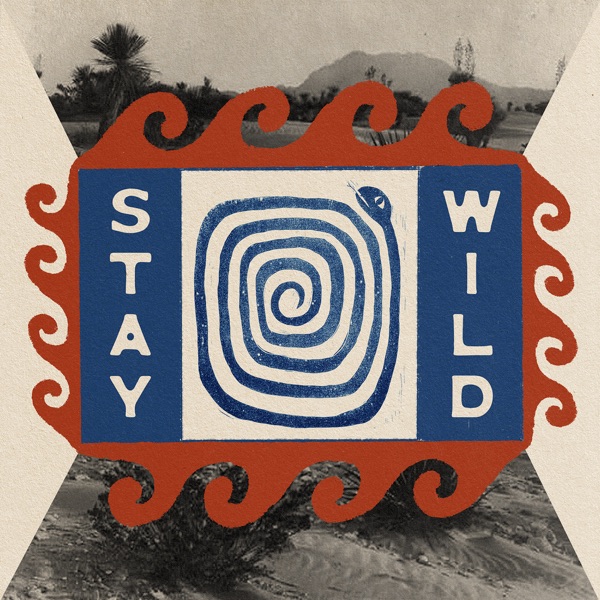 Stay Wild - Single album cover