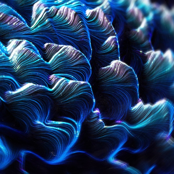 Sacrifice album cover