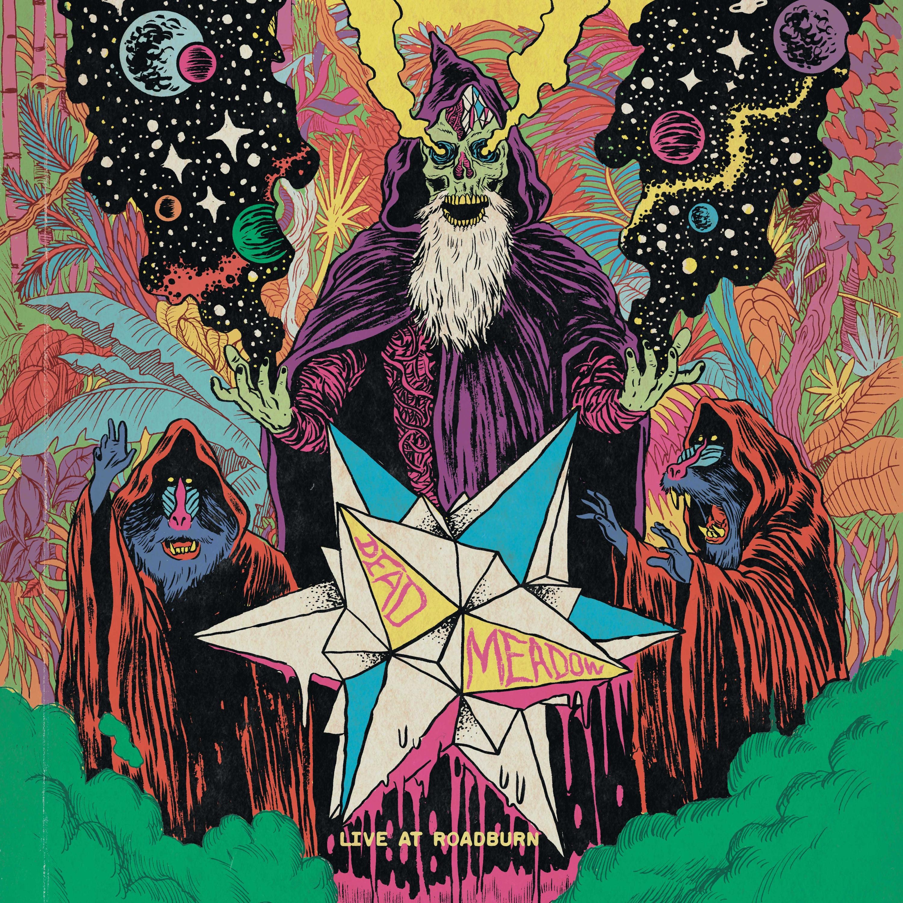 Live at Roadburn 2011 (Live At Roadburn 2011) album cover