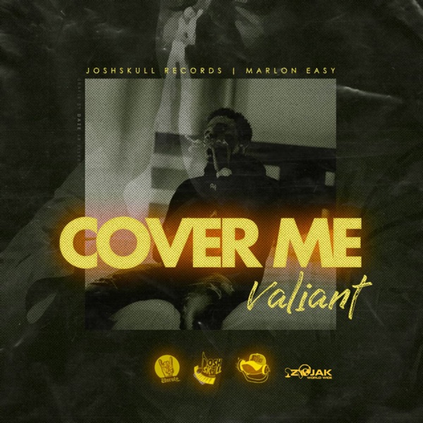 Cover Me - Single album cover