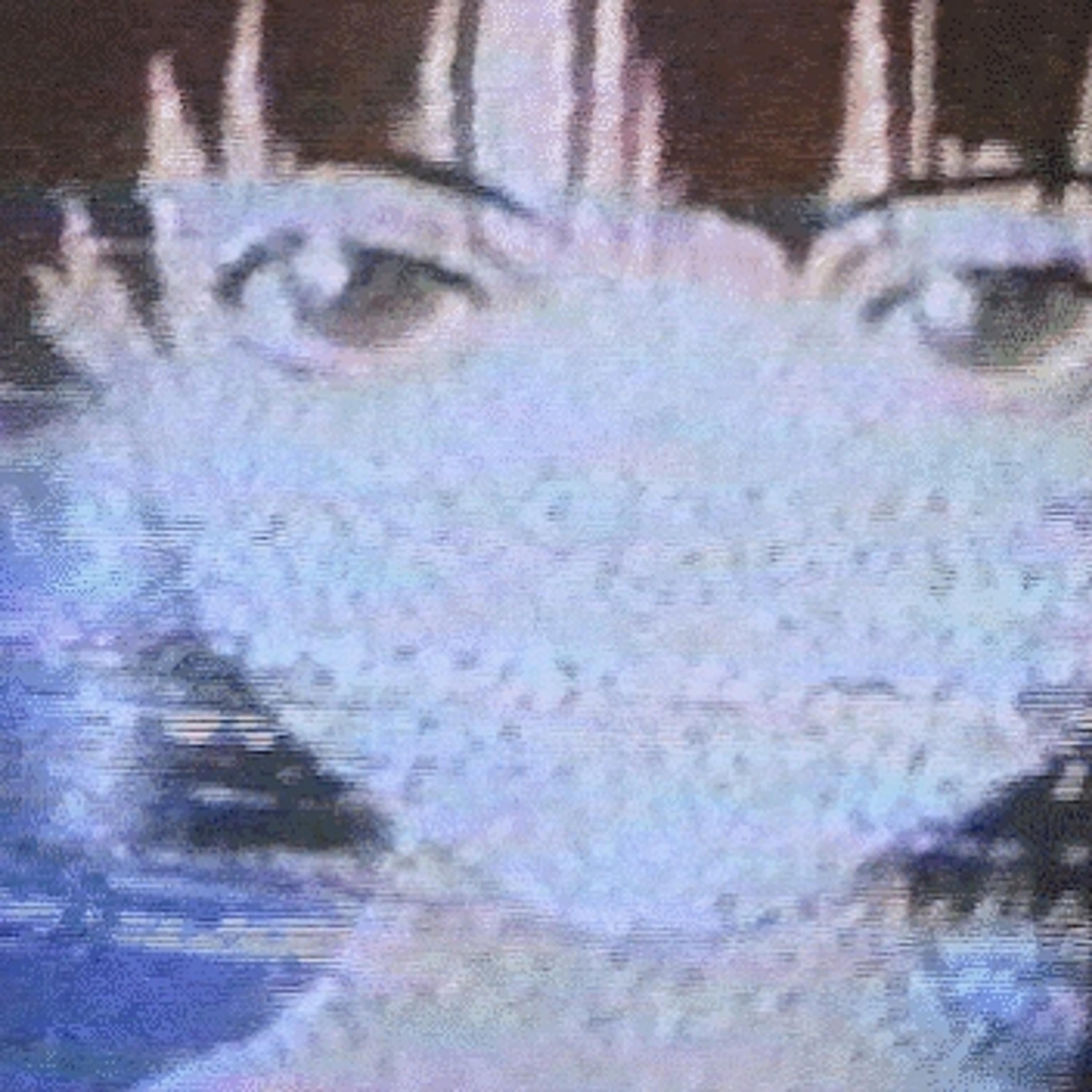 Love album cover