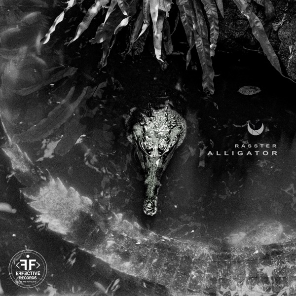 Alligator - Single album cover