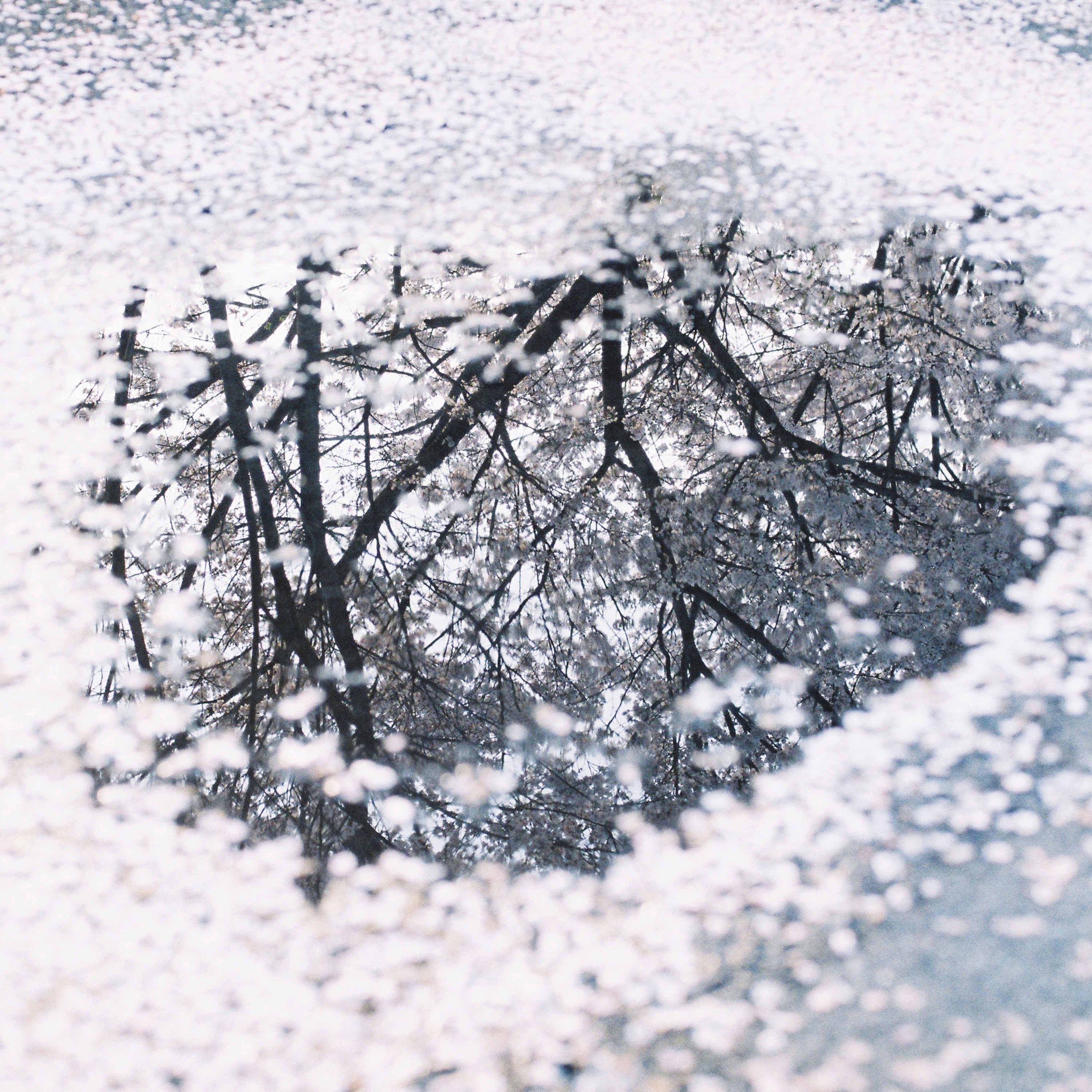 April - Outro - EP album cover