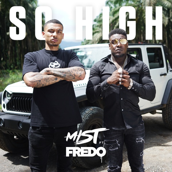 So High (feat. Fredo) - Single album cover