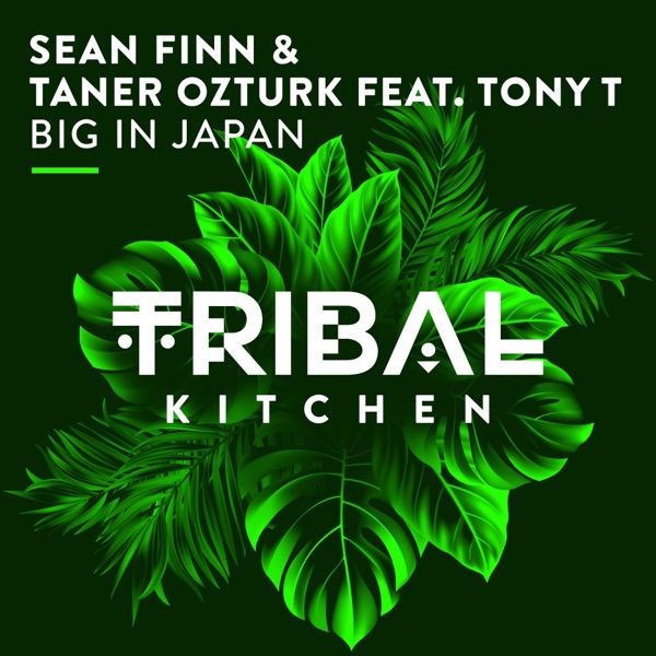 Big in Japan (feat. Tony T) - Single album cover