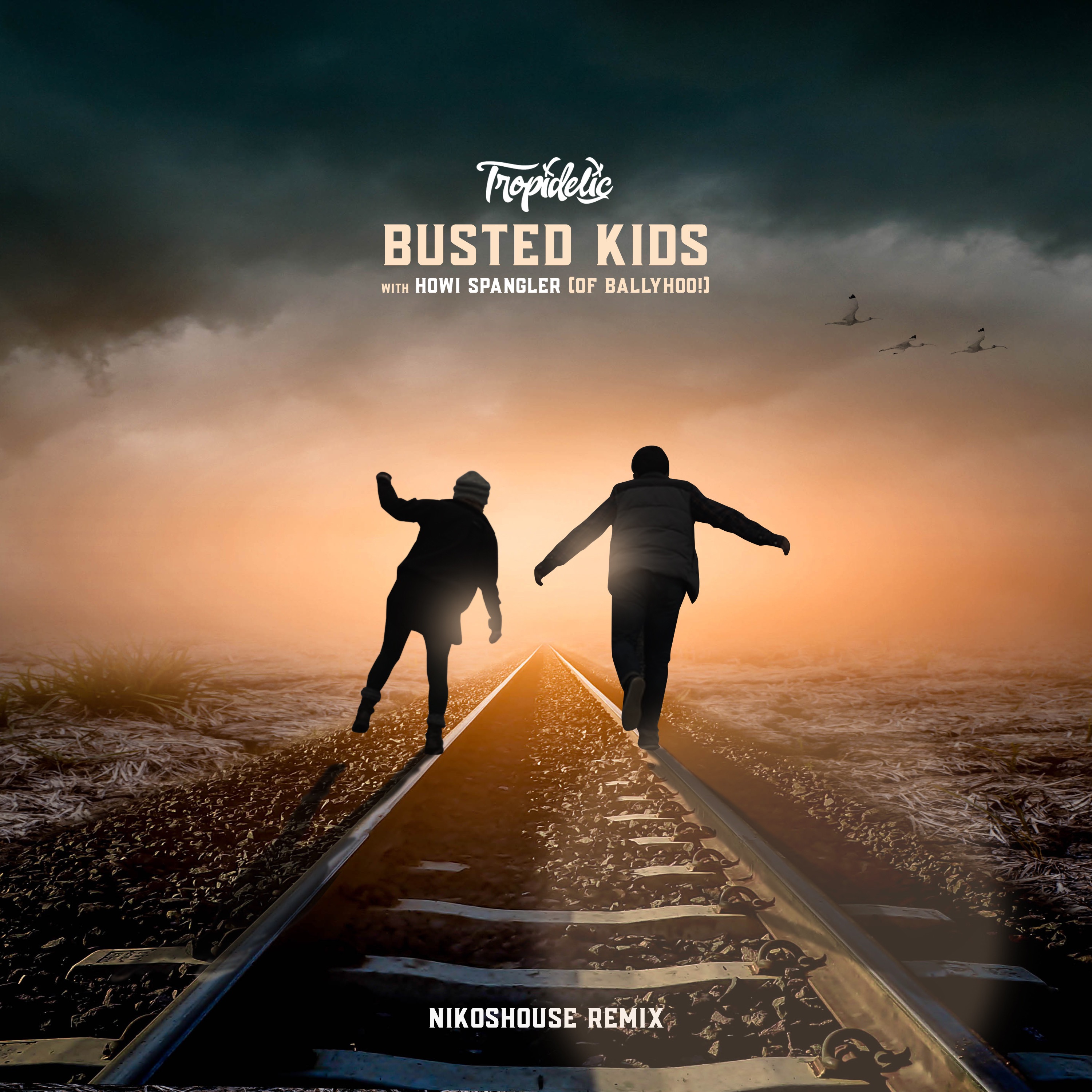 Busted Kids (nikoshouse Remix) - Single album cover