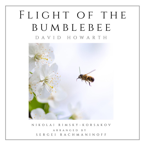 Flight of the Bumblebee (Solo Piano) - Single album cover
