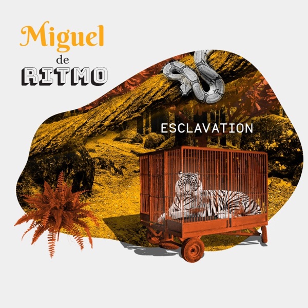 Esclavation (feat. Yehezkel Raz) - Single album cover