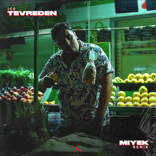 Miyek Remix (feat. Sky) - Single album cover