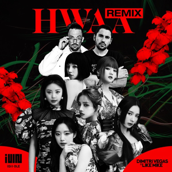 HWAA (Dimitri Vegas & Like Mike Remix) - Single album cover