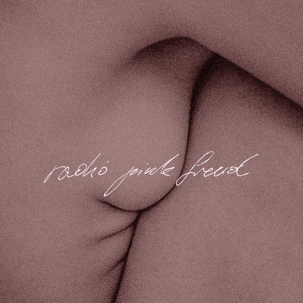 Radio Pink Freud - Single album cover