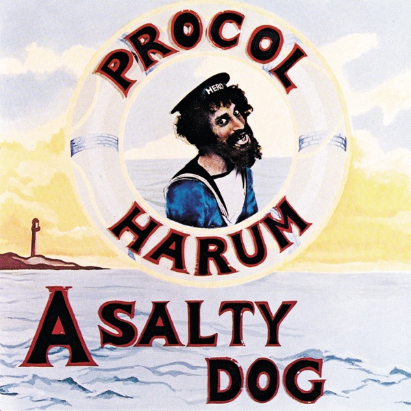 A Salty Dog album cover
