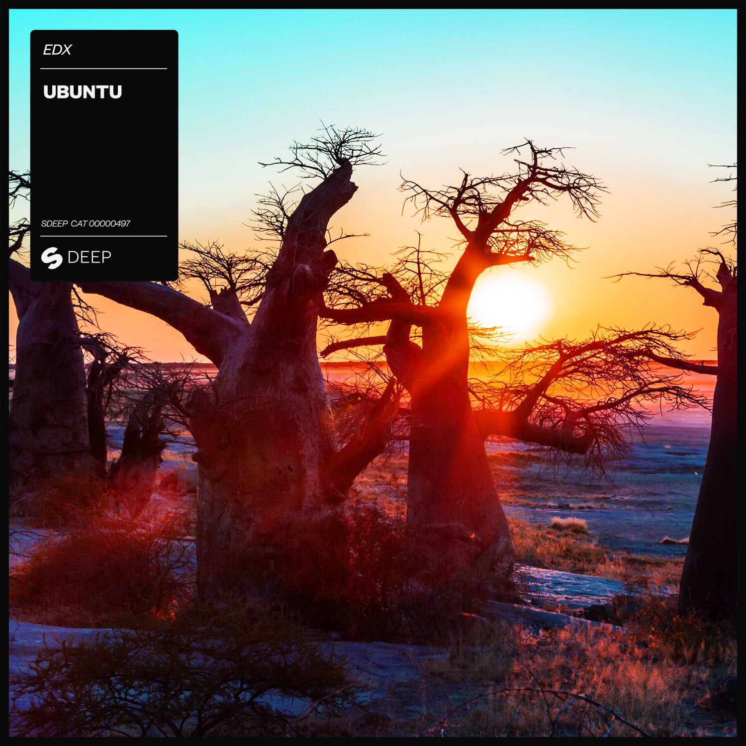 Ubuntu - Single album cover