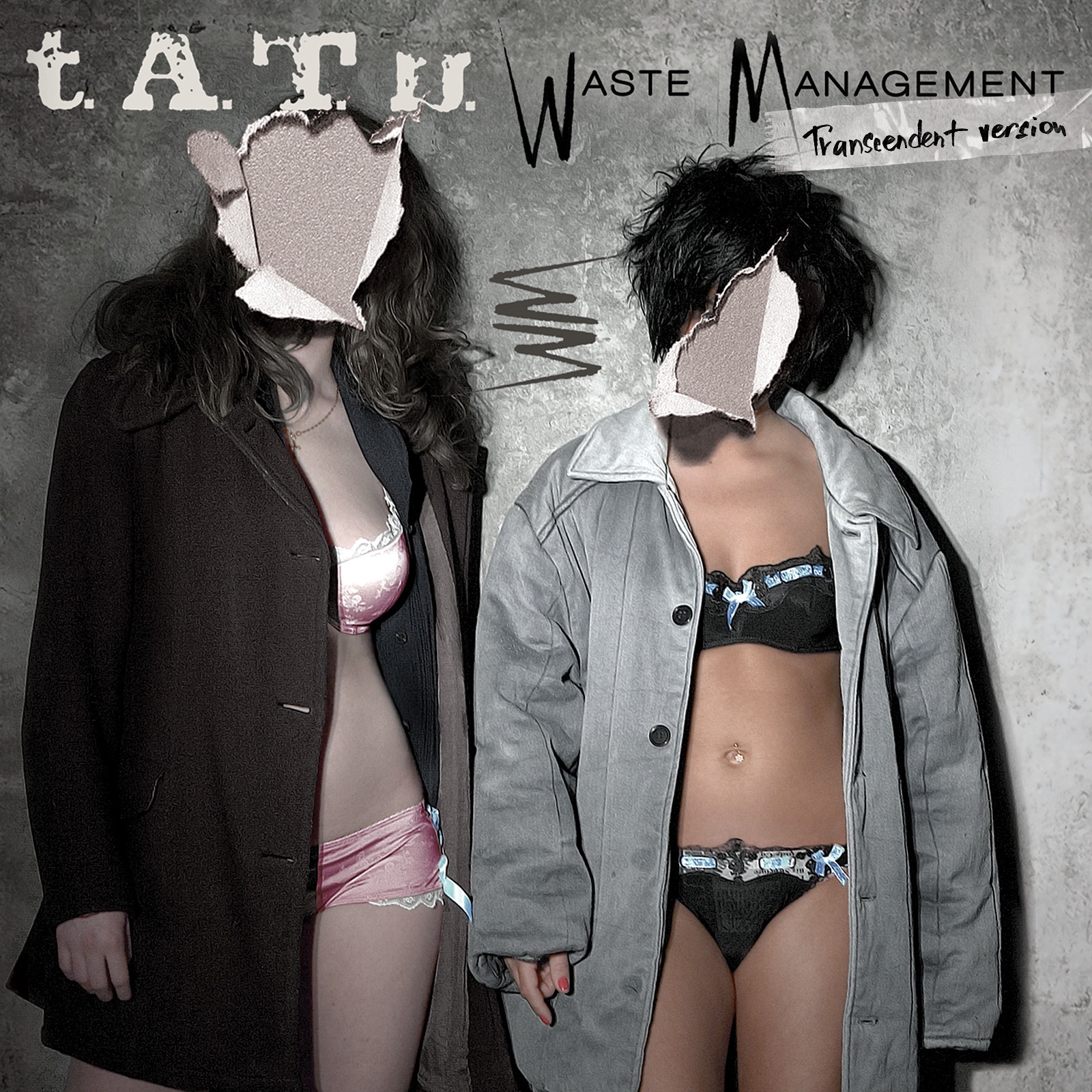 Waste Management (Transcendent Version) - Single album cover