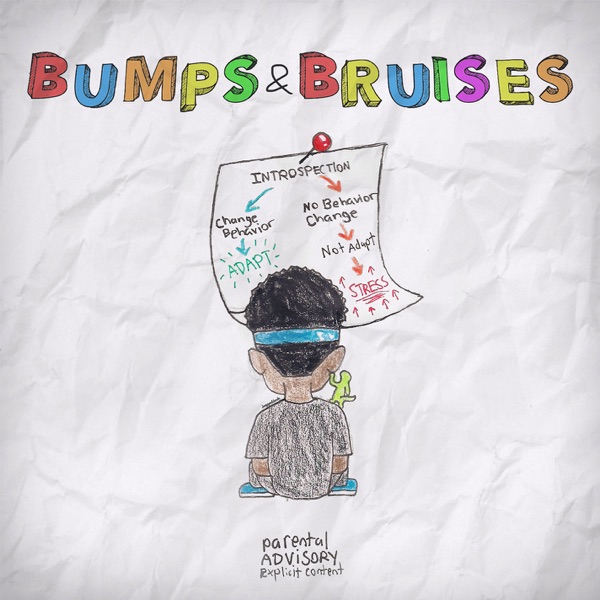 Bumps & Bruises album cover