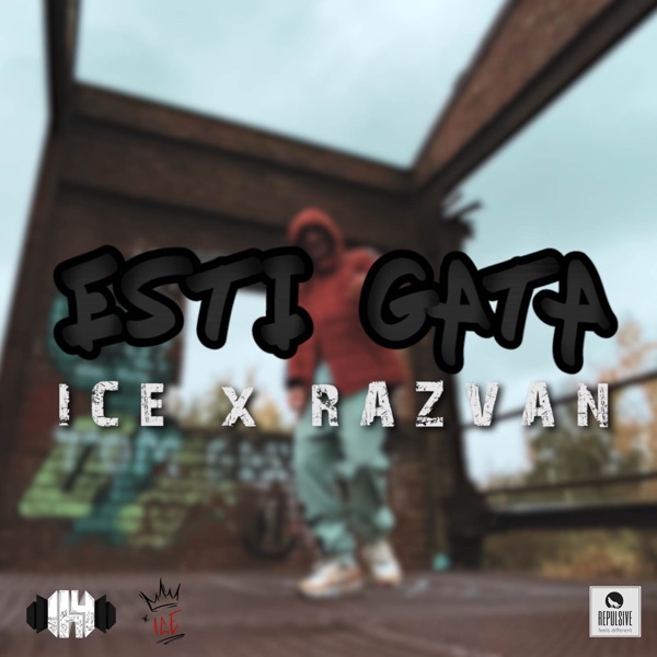 Esti Gata (feat. Razvan) - Single album cover