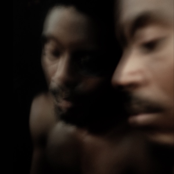 Will the Feelings Leave - Single album cover