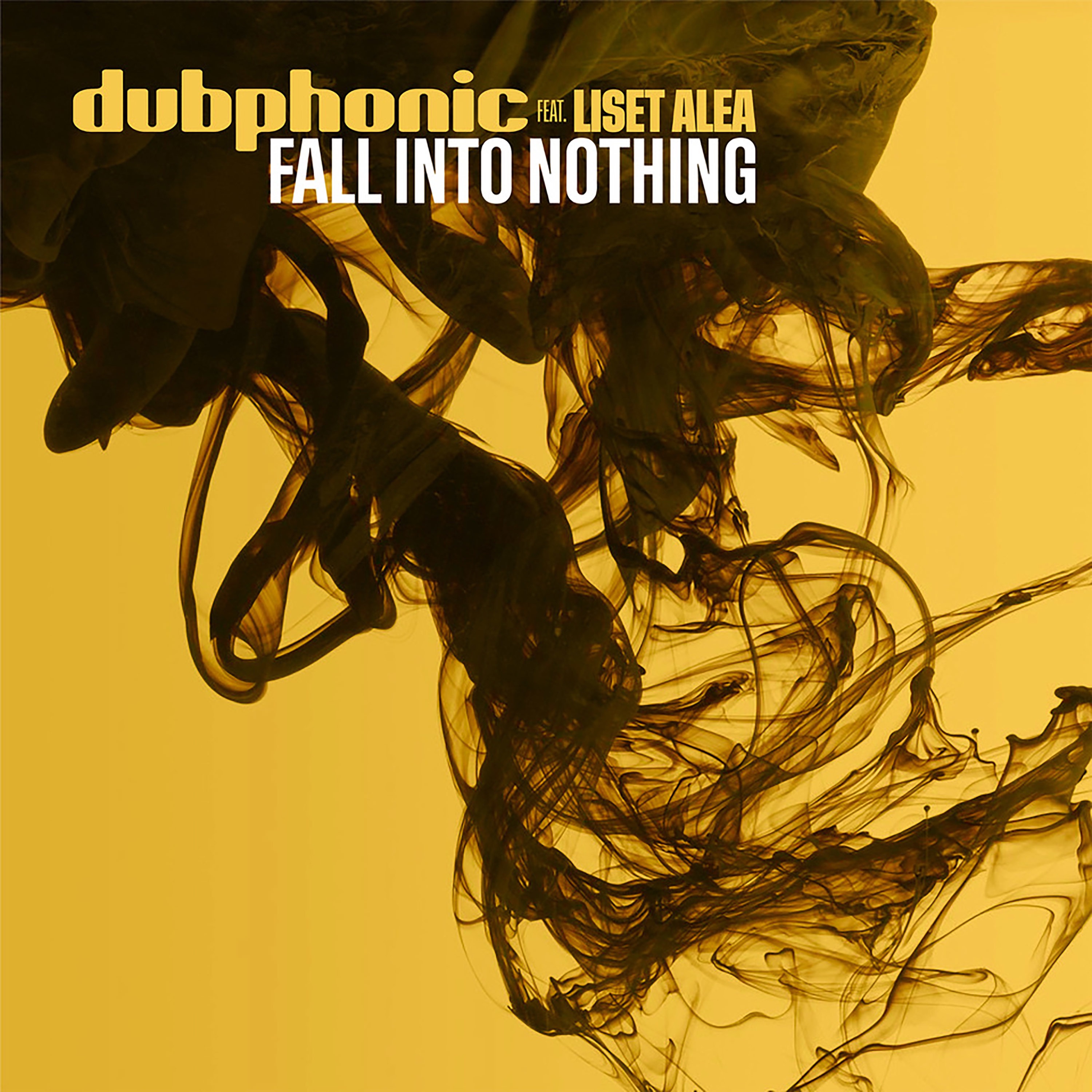 Fall into Nothing - Single album cover