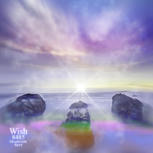 Wish (feat. 8485 & 4Evr) - Single album cover