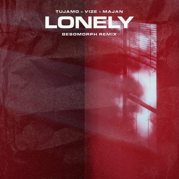 Lonely (Besomorph Remix) - Single album cover