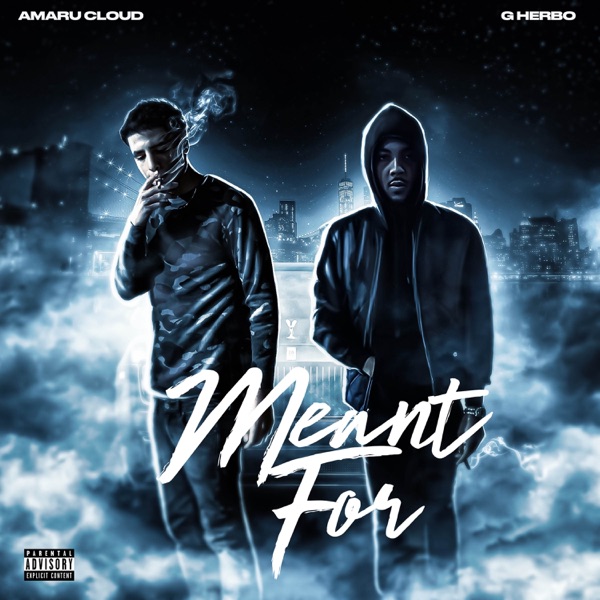 Meant For (feat. G Herbo) - Single album cover