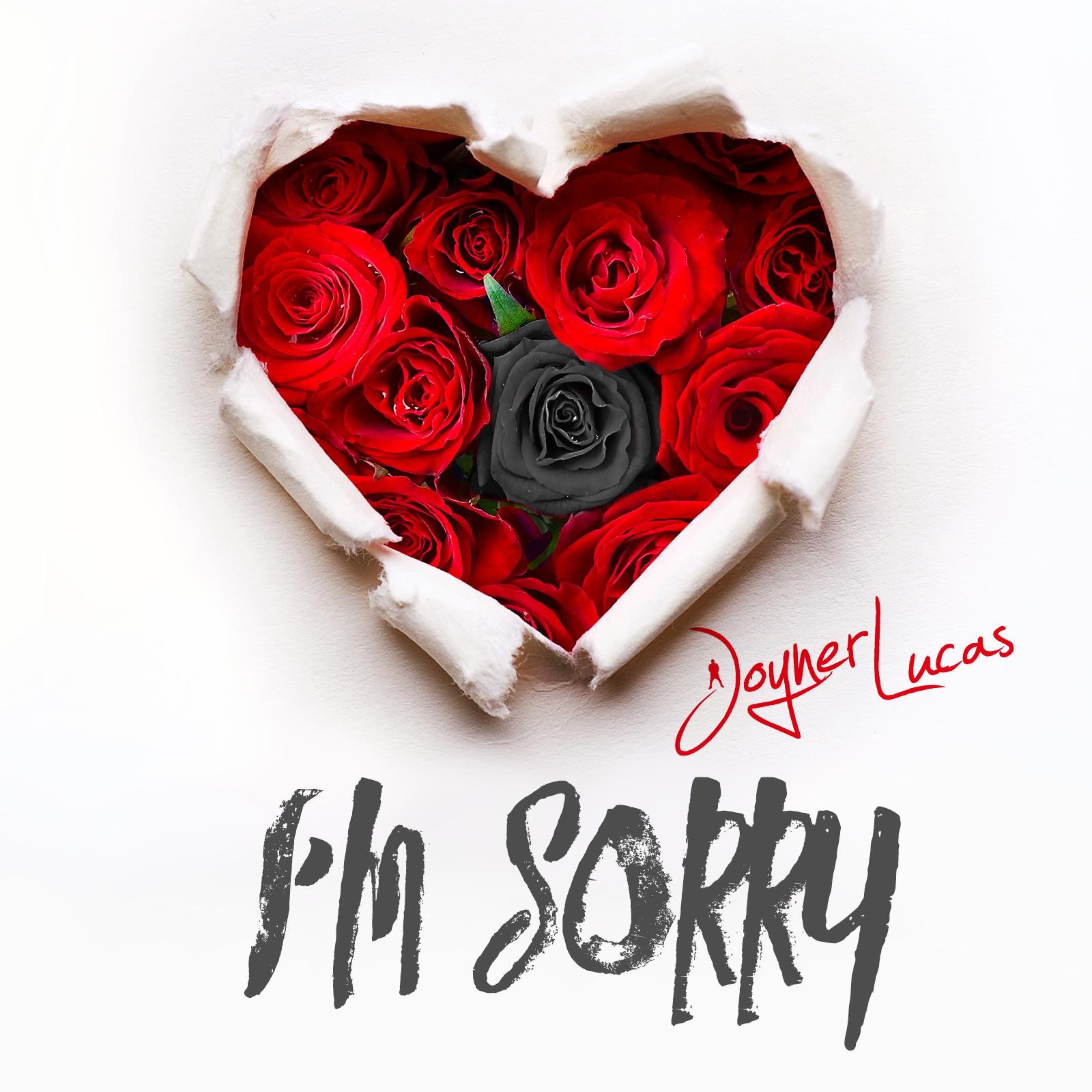 I'm Sorry - Single album cover