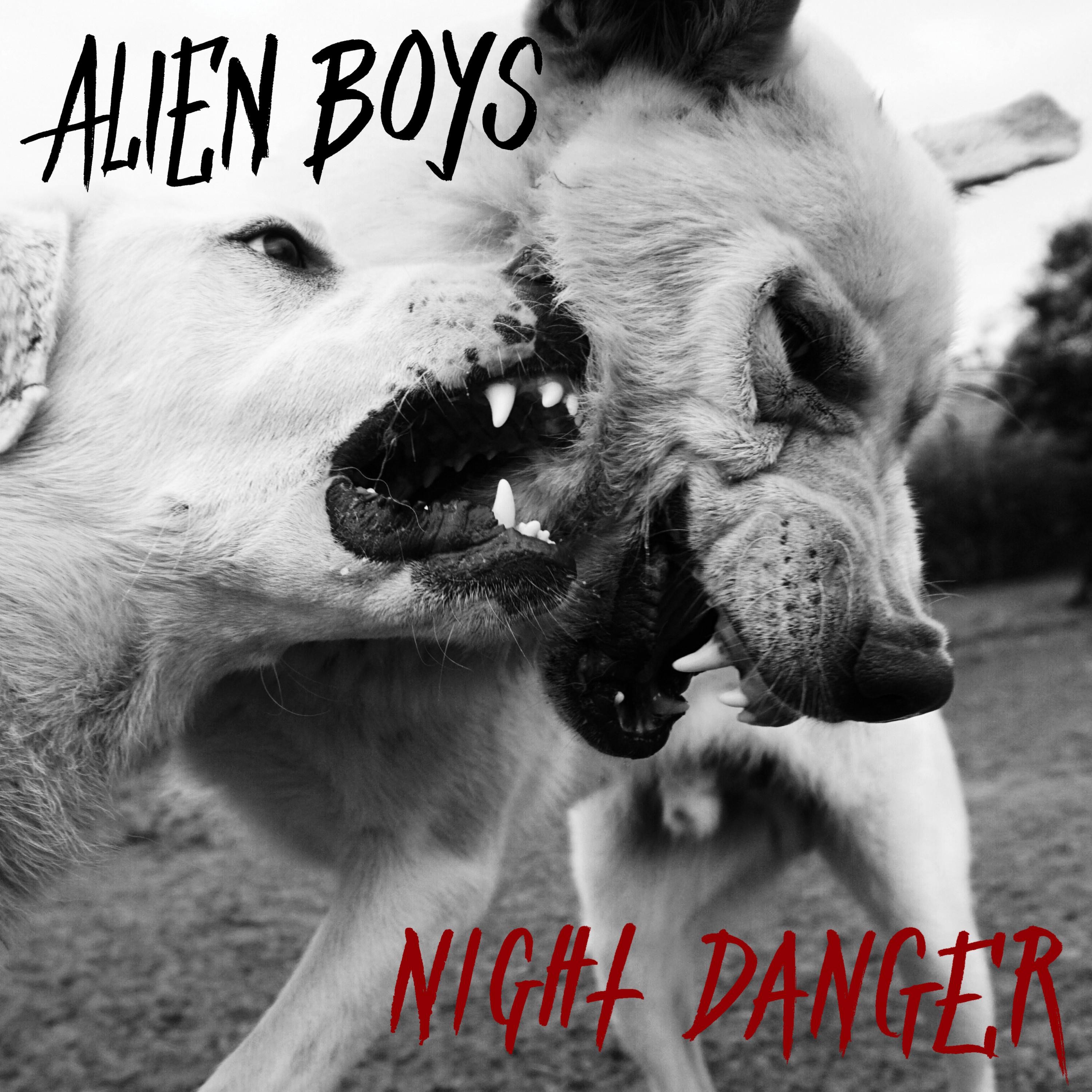 Night Danger album cover