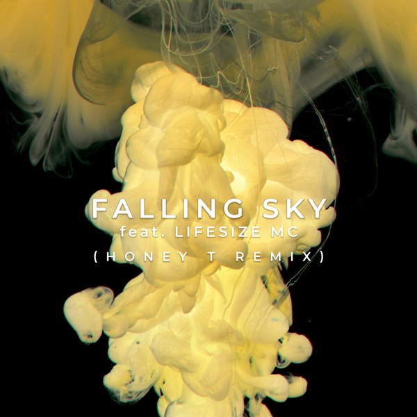 Falling Sky Feat. Lifesize MC - Single album cover