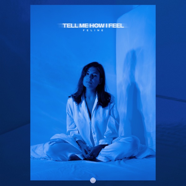 Tell Me How I Feel - Single album cover