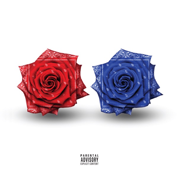 The Documentary 2 + 2.5 (Collector's Edition) album cover