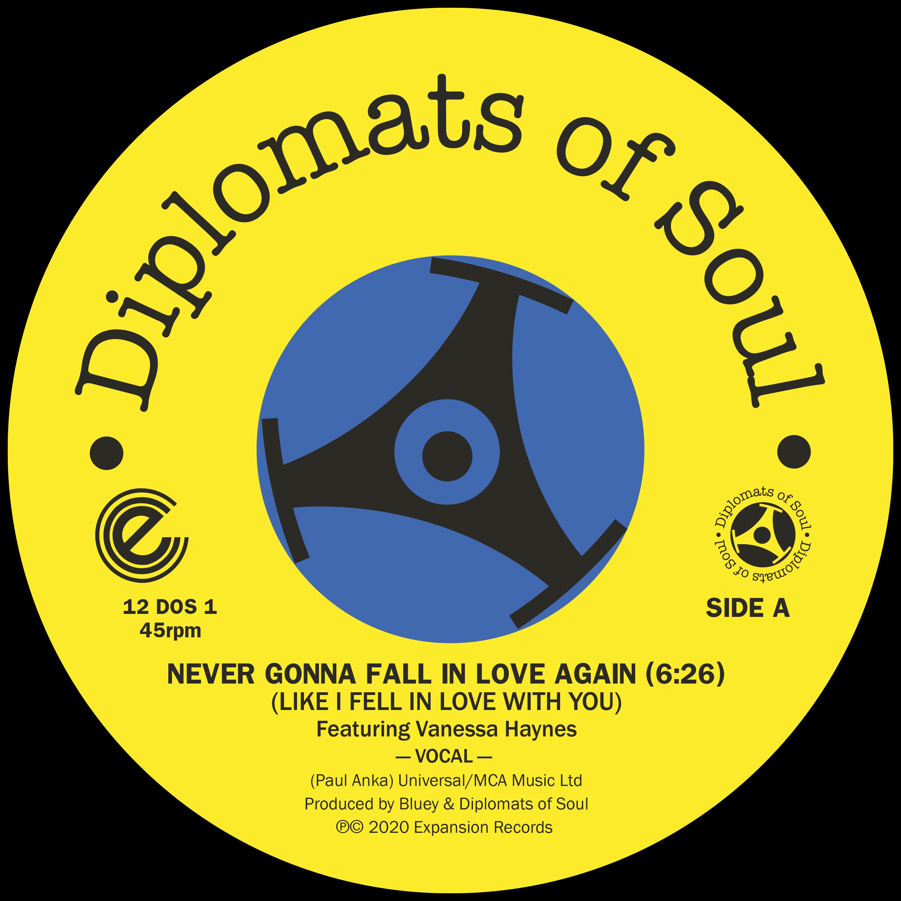 Never Gonna Fall in Love Again (Like I Fell in Love with You) [Digital] [feat. Vanessa Haynes] - Sin album cover