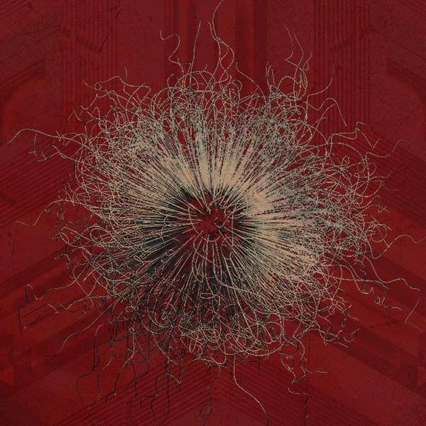 Into Nothing (Live in 2020) - Single album cover