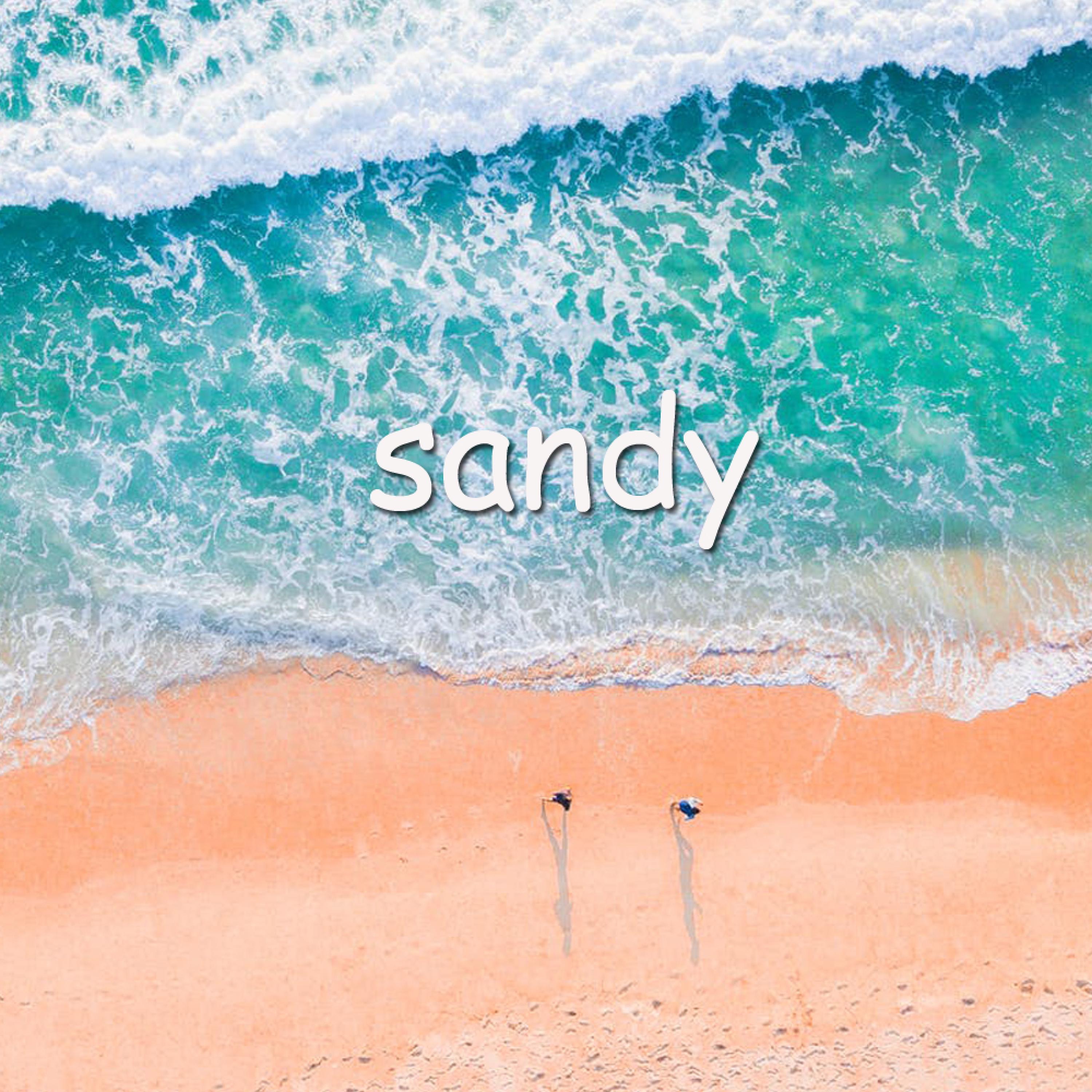 Sandy - Single album cover